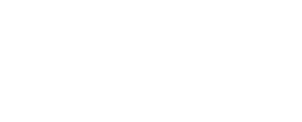 APP Web Logo